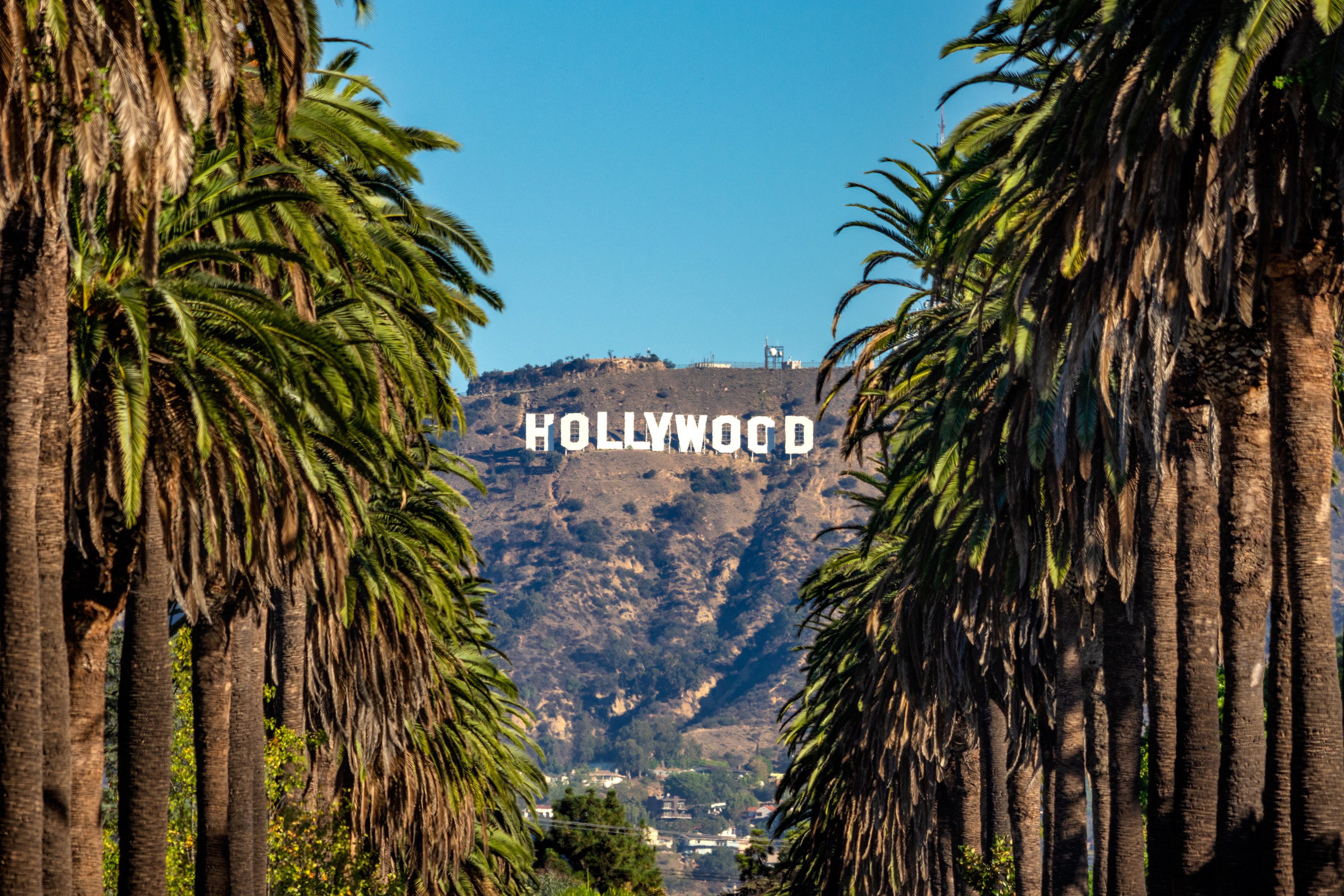 Od reklamy dewelopera do symbolu American Dream. Historia słynnego znaku Hollywood