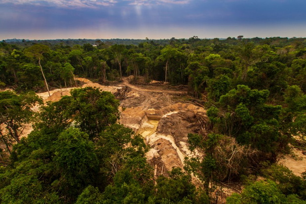 amazonia-lasy-2a1d20d