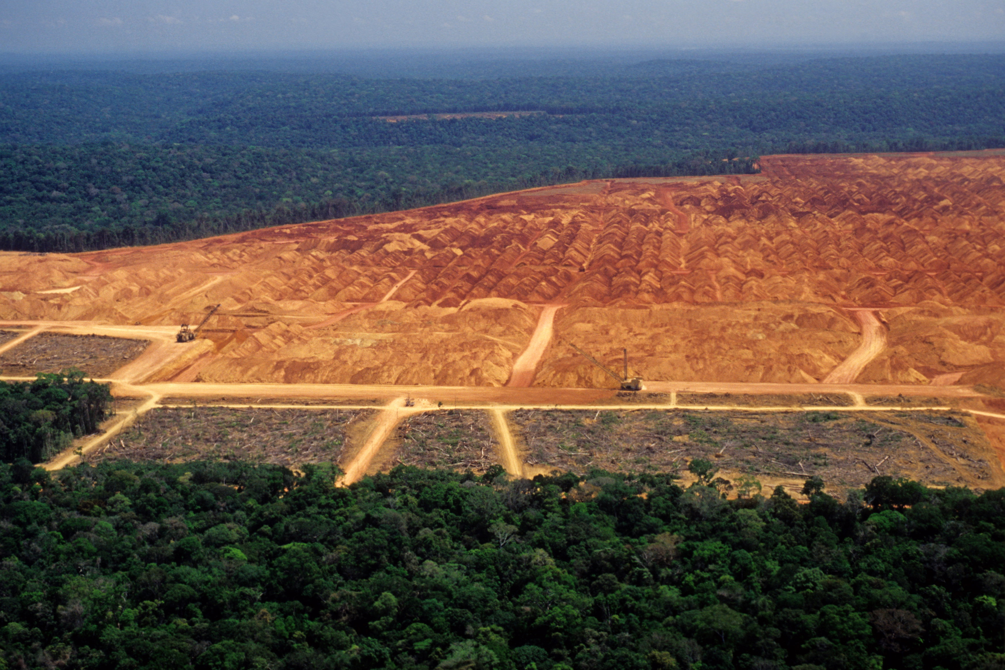 Amazonia