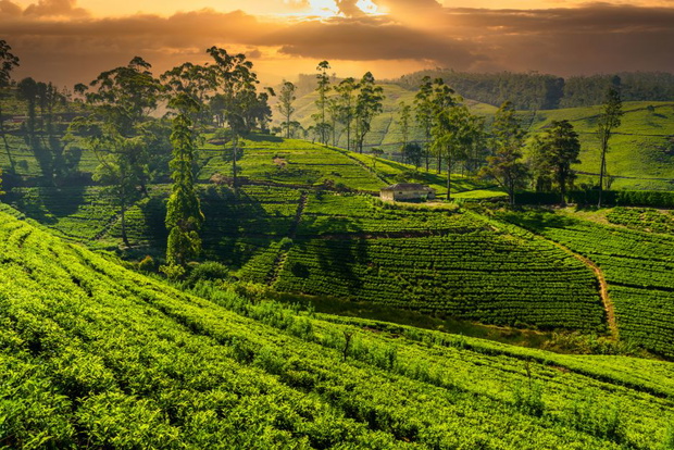 sri-lanka1-97093af