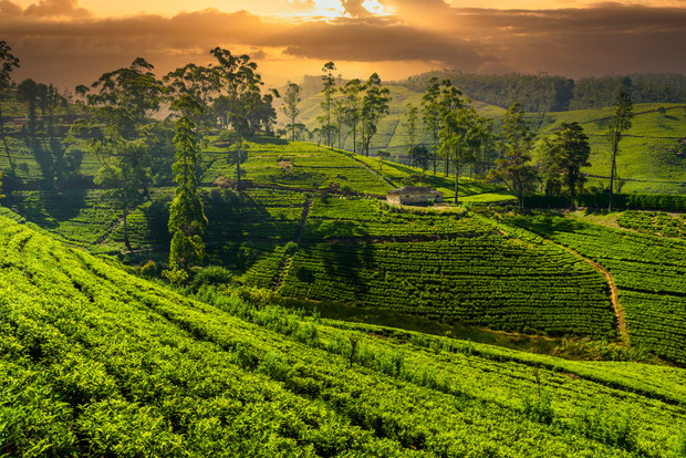 Sri Lanka