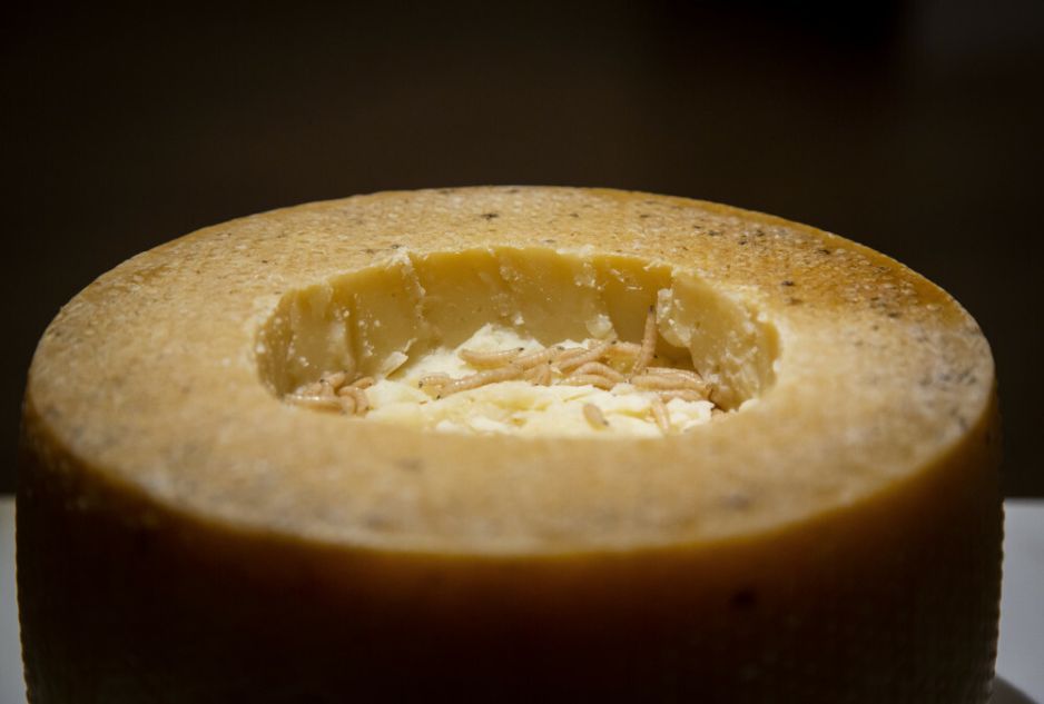 ser casu marzu