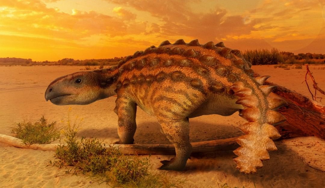 Odkryto dinozaura, który miał wyjątkowo dziwny ogon