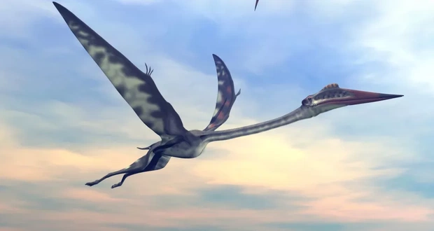 najwieksze-latajace-stworzenie-w-historii-quetzalcoatlus-byl-rozmiarow-zyrafy11345106-2a35f4e