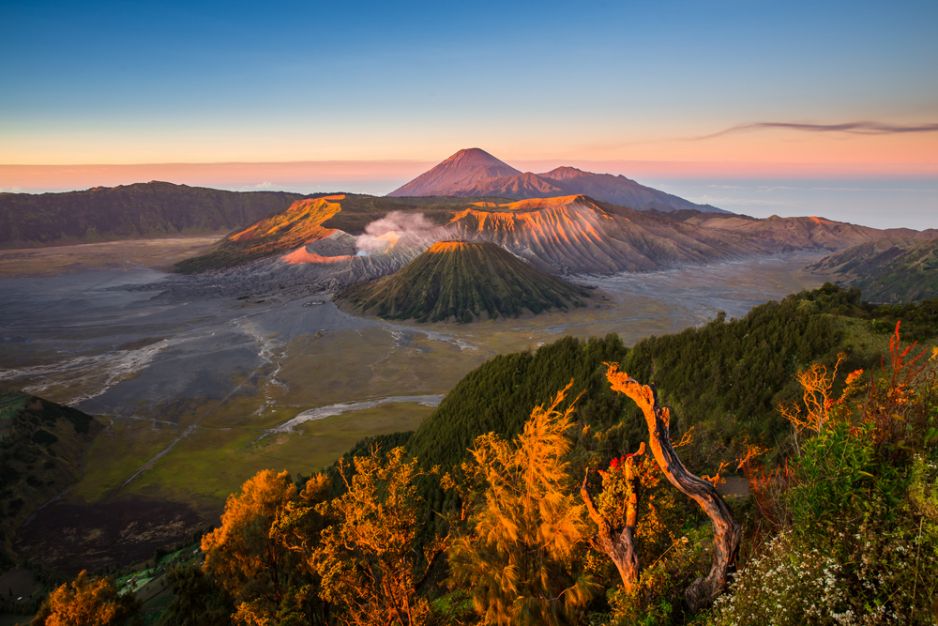 shutterstock_291788714__1_