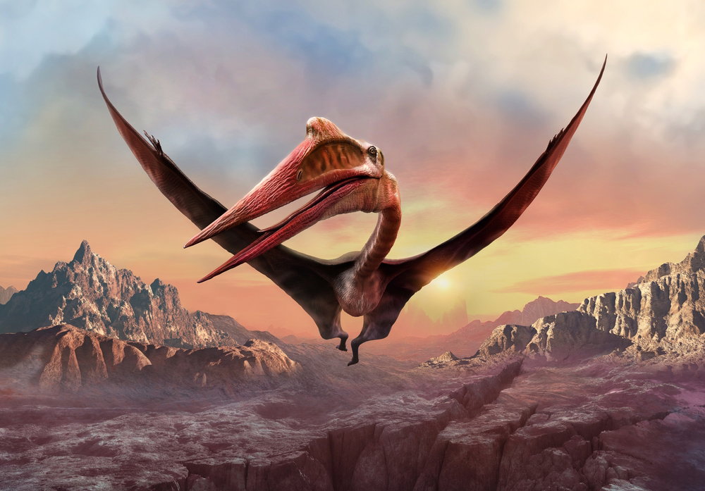 Quetzalcoatl to największe latające stworzenie w historii. Był rozmiarów żyrafy, ale polował jak czapla (ryc. Shutterstock)