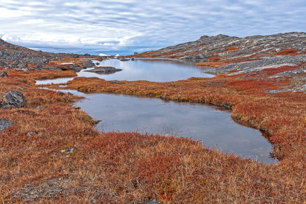 Tundra