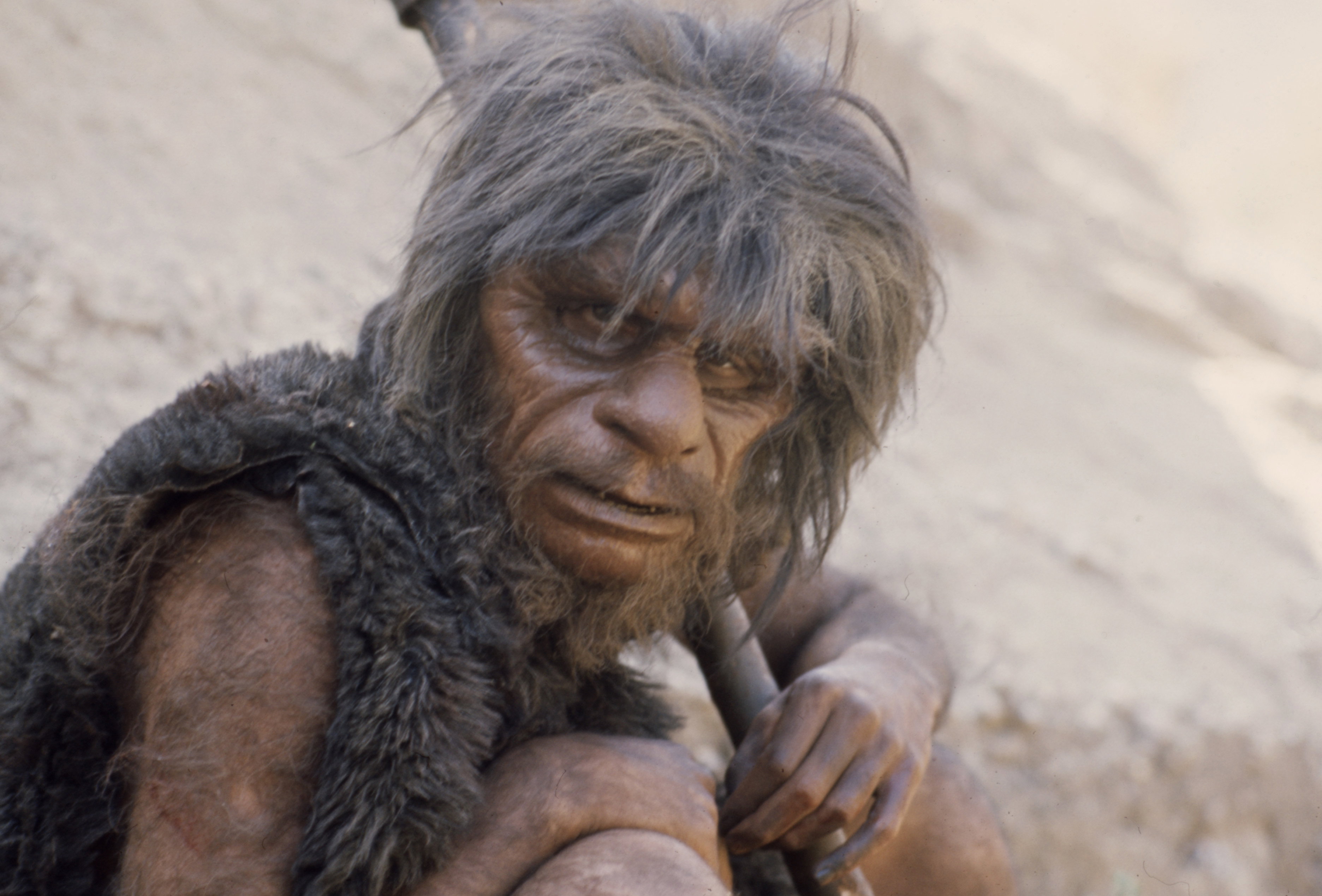 Neandertalczycy pierwsi niszczyli ekosystemy. W Europie znikały lasy