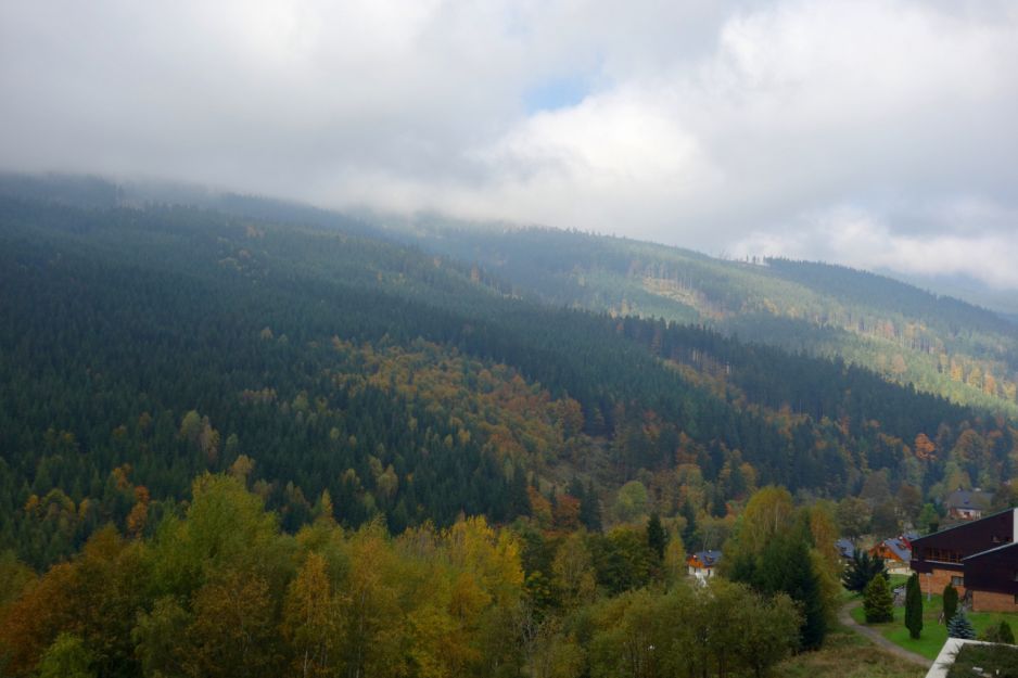 W Czechach powstaje najdłuższy most wiszący na na świecie