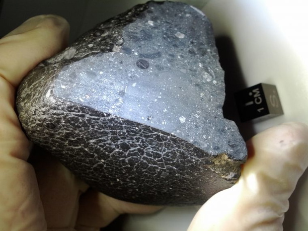 Meteoryt „Black Beauty” (Czarna Piękność)