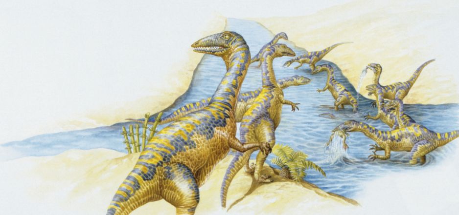 Dinozaury dwunożne. Jak biegały?