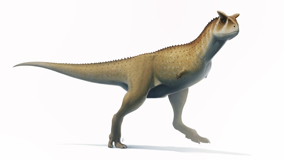 abelizaur