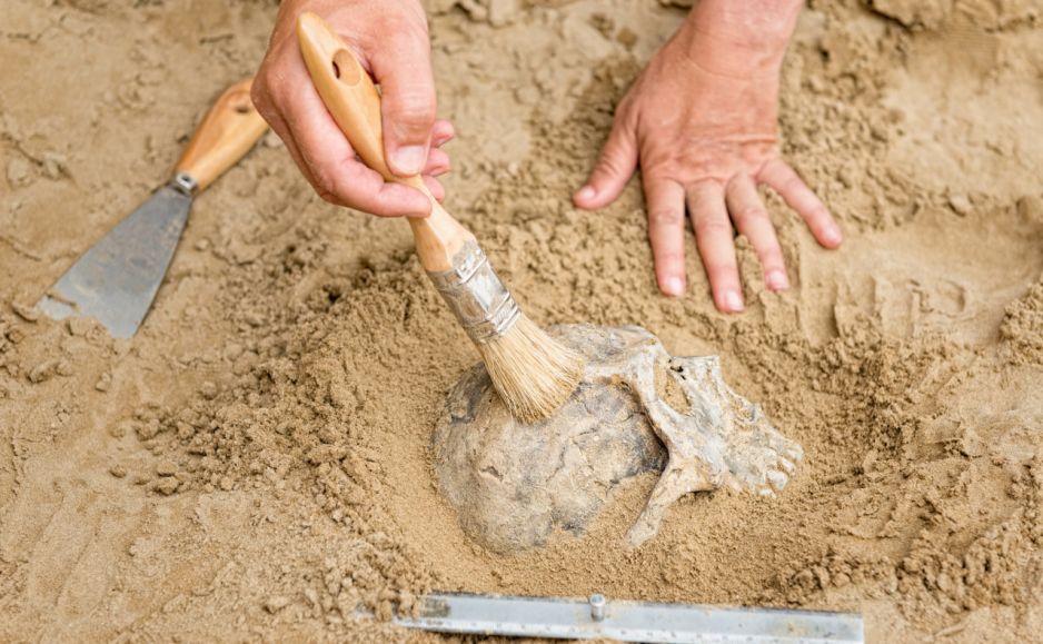 W szczątkach sprzed 7 tys. lat wykryto DNA nieznanej grupy ludzi