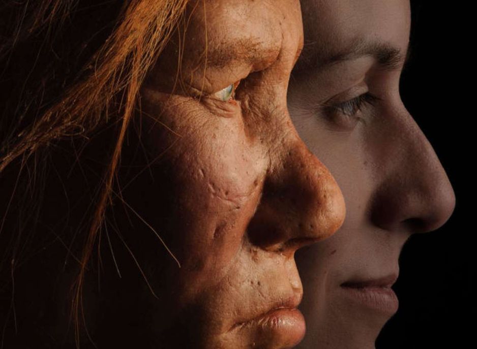 neandertalczyk