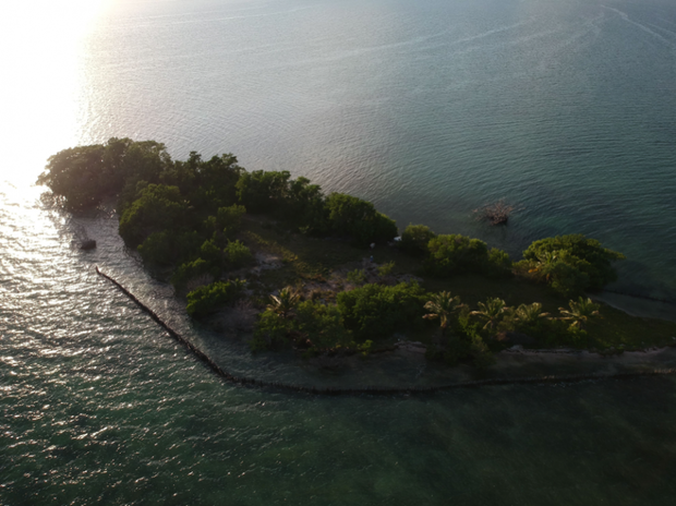 coffee-caye-7b7f2bf