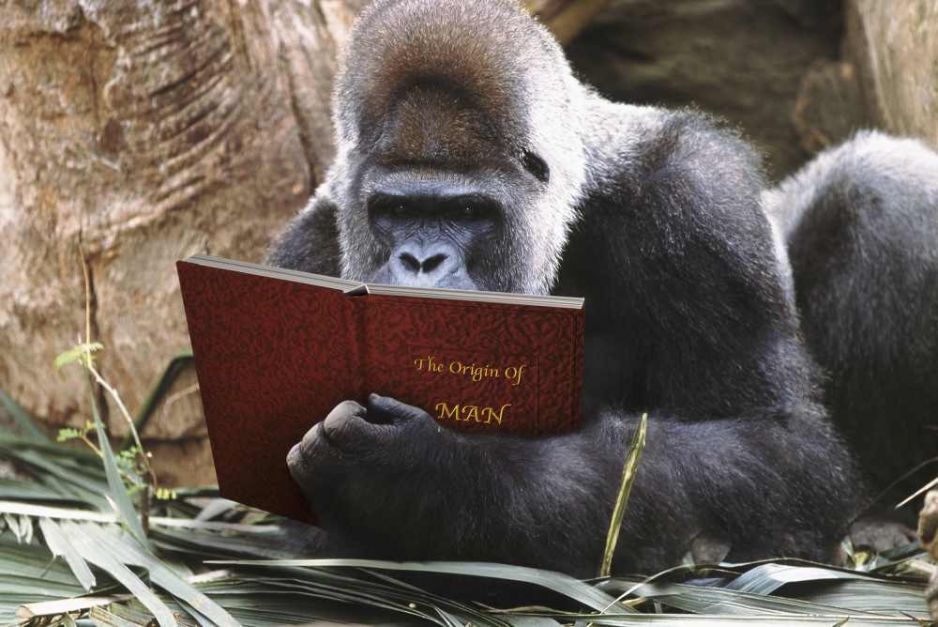 Teoria Darwina nie powstała dzięki żółwiom i ziębom. Kluczowe znaczenie miały skamieniałości i pieczone mięso (fot. Peter Macdiarmid/Getty Images)
