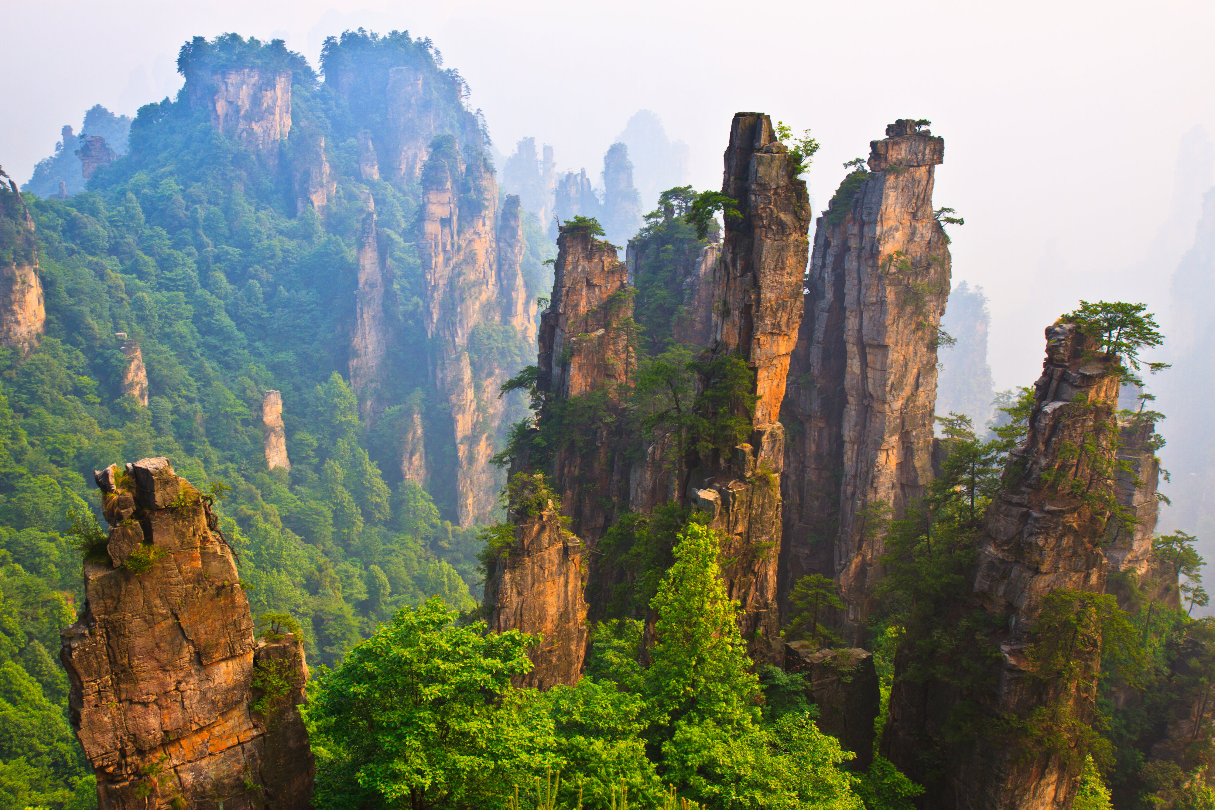 Mówią, że Tianzi Mountain to góry Avatara. Rzeczywiście wyglądają nieziemsko