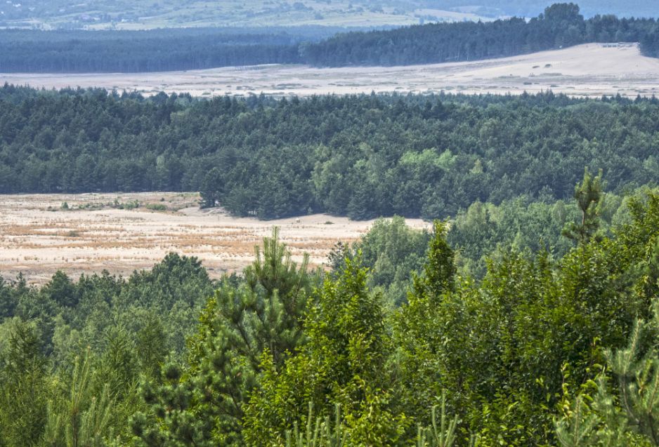 Pustynia Blędowska - punkt widokowy na górze fot. Leszek Kotarba/East News