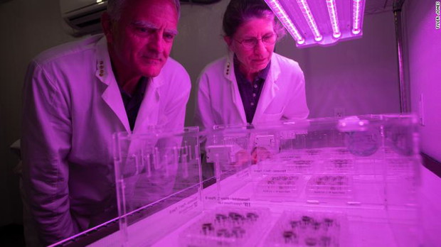 Prof. Paul i prof. Ferl