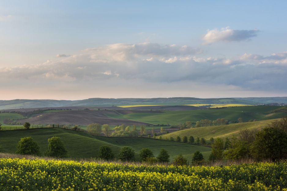Morawy, Czechy