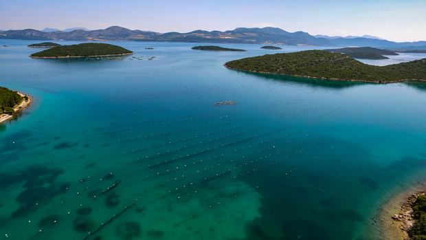 Pelješac, hodowla ostyg