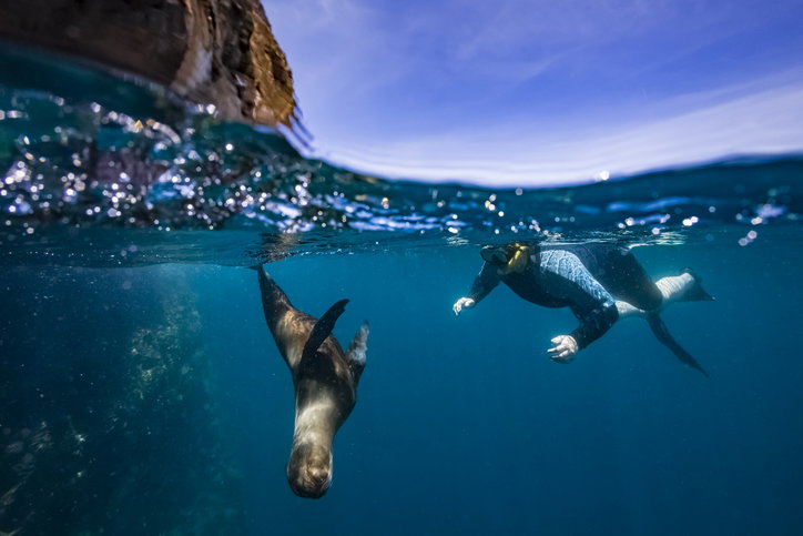 Galapagos