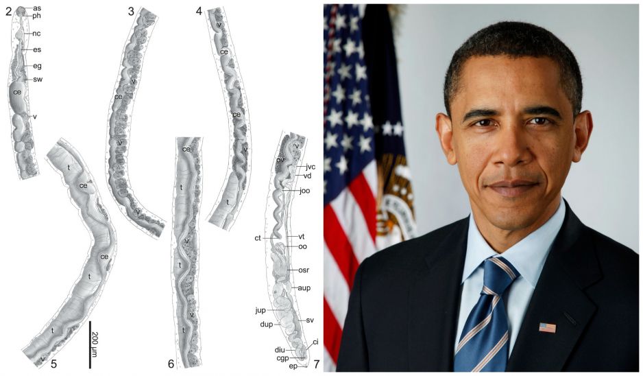 Barobak Obama