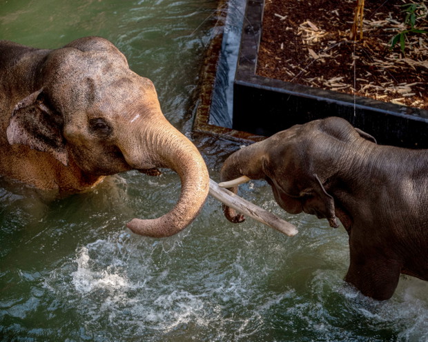 Orientarium w łódzkim zoo już otwarte