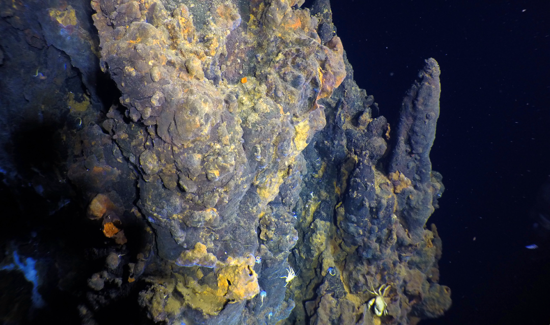 kominy hydrotermalne