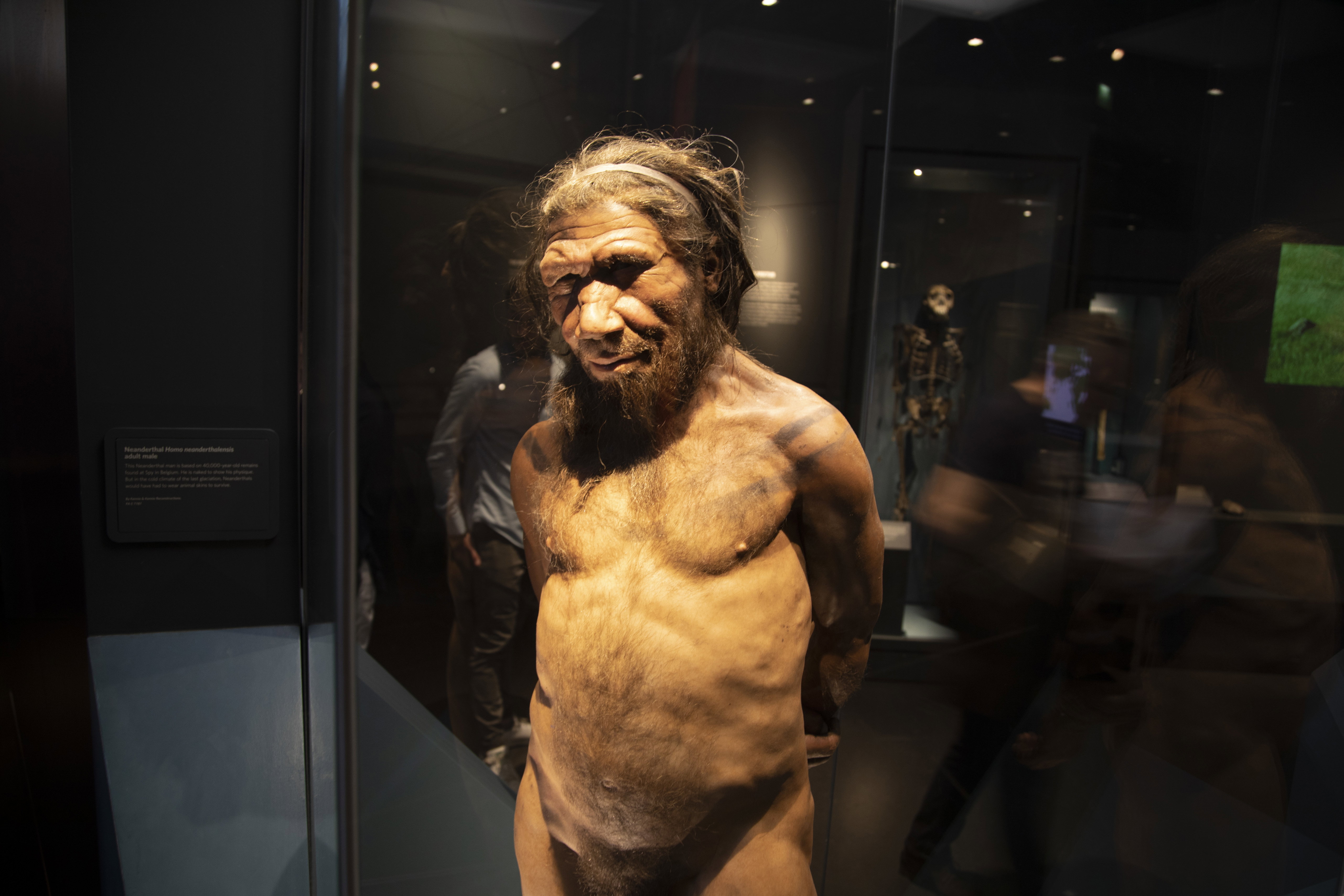 Neandertalczyk