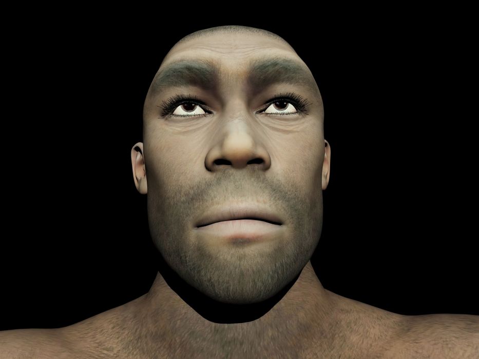 Homo erectus - grafika Getty Images