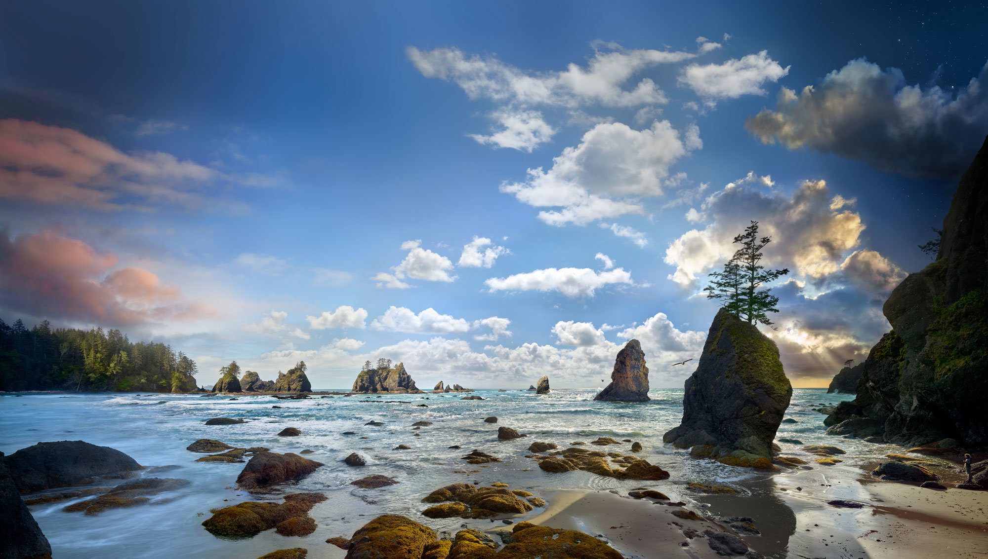 Shi Shi Beach, Stan Waszyngton