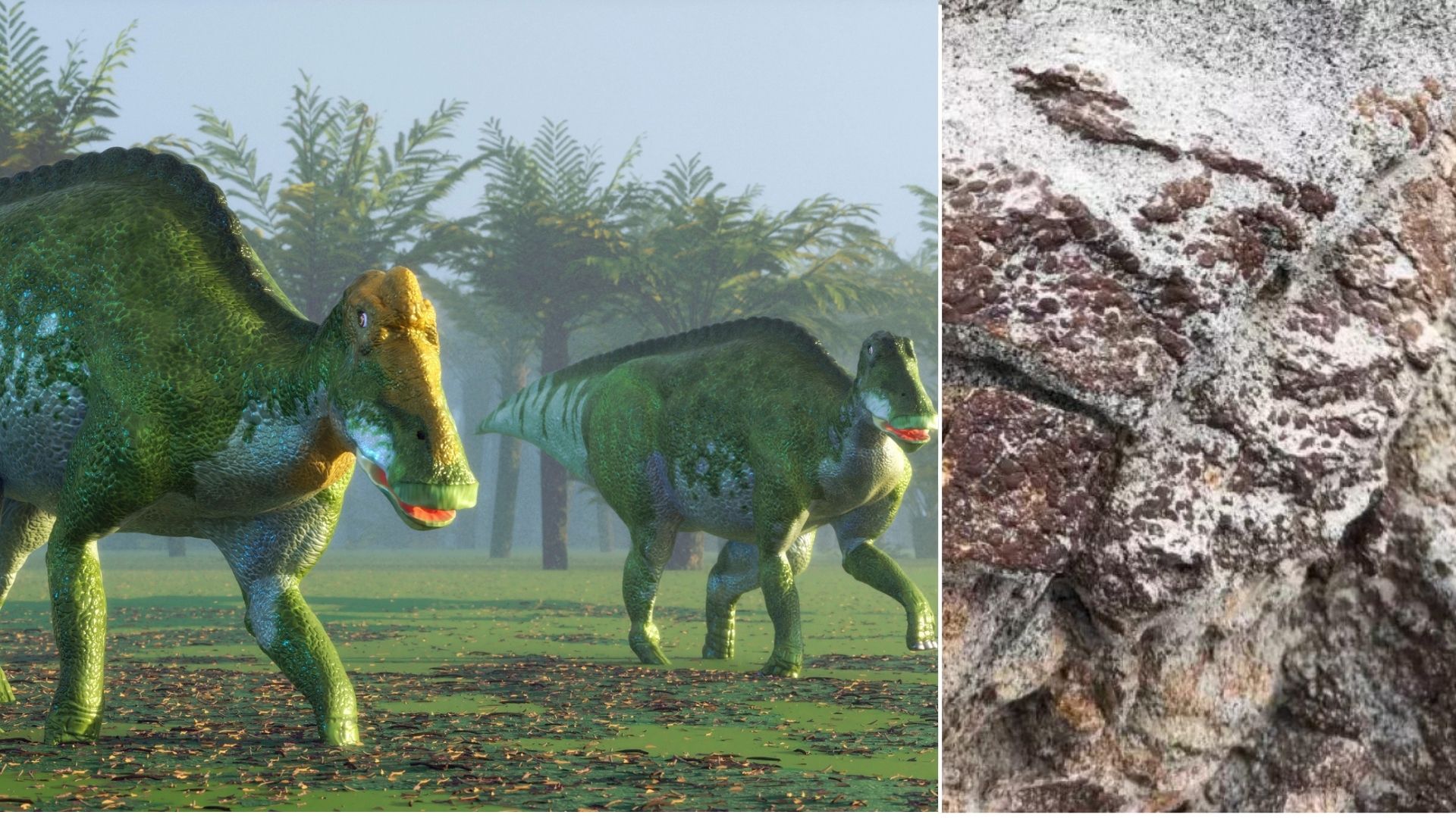hadrozaur