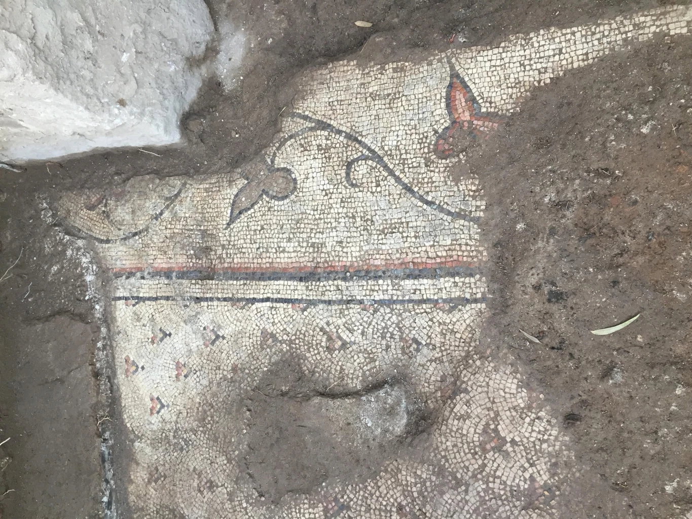 Czy tu urodził się święty Piotr? Archeolodzy są coraz bliżej odkrycia biblijnej Betsaidy