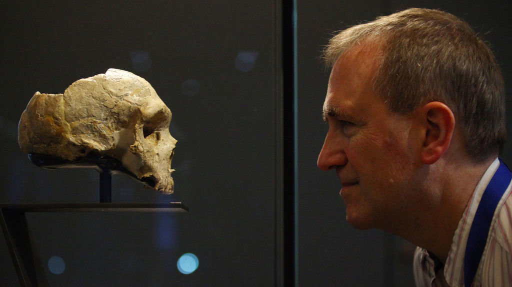 Różnica tylko jednego aminokwasu sprawiła, że w mózgu Homo sapiens powstaje więcej neuronów niż u neandertalczyka (fot. Gareth Fuller/PA Images via Getty Images)