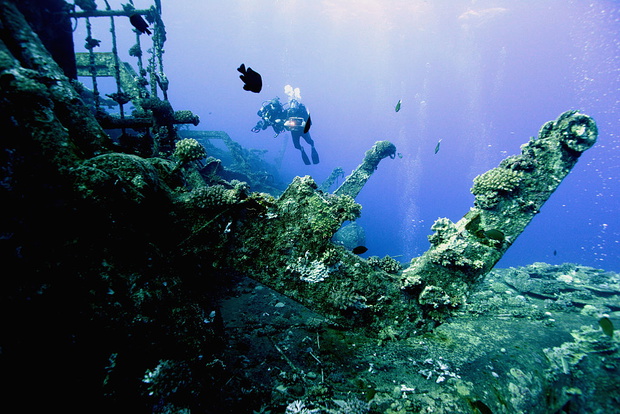 Wreck Diving In The Red Sea