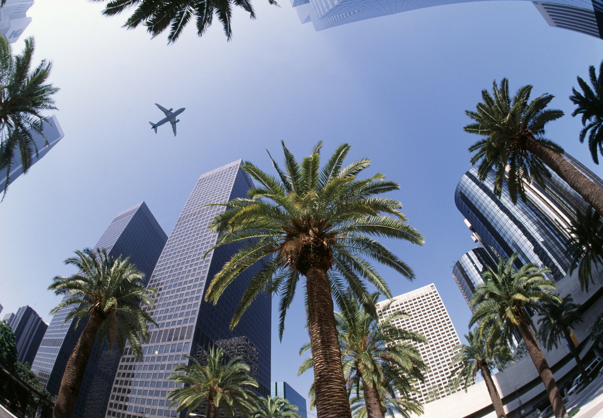 Los Angeles to już nie miasto, a miasto-państwo. Kim są jego obywatele?