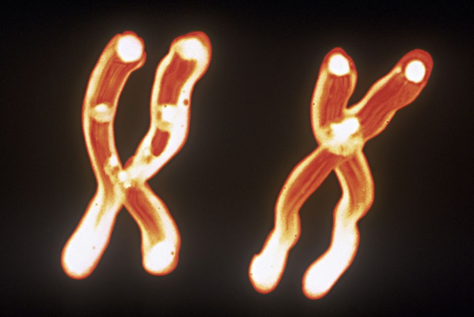 Wielu mężczyzn traci w wiekiem chromosom Y. Naukowcy zbadali, dlaczego jest to dla nich niebezpieczne (fot. Getty Images)