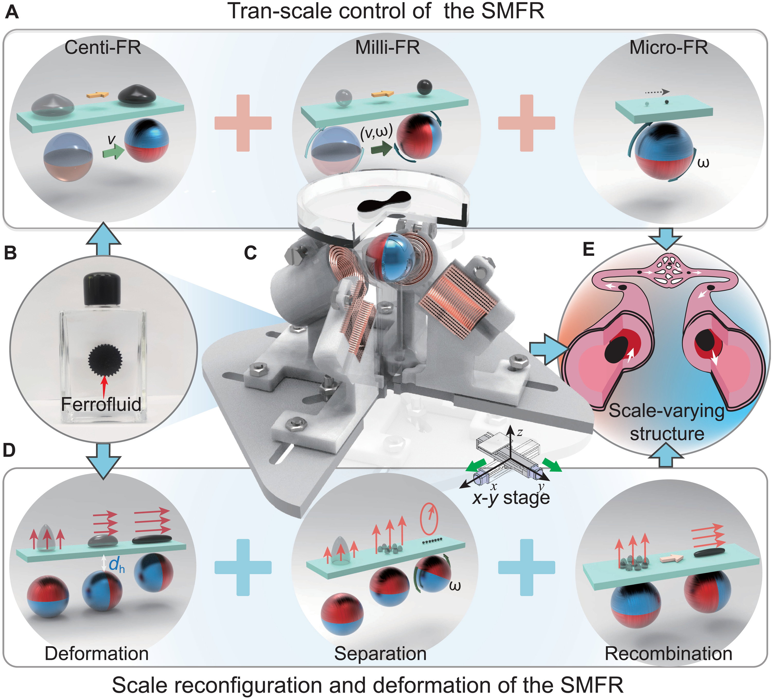 Powstał robot jak Terminator T-1000 – rozpada się na mniejsze krople, po czym ponownie łączy się w całość (fot. Xinjian Fan et al, Science Advances (2022). DOI: 10.1126/sciadv.abq1677)