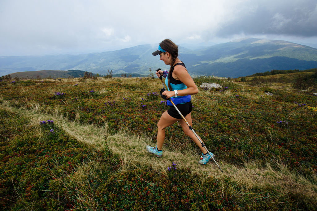 nordic walking
