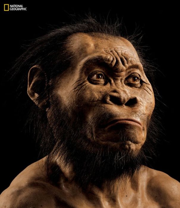 naledi