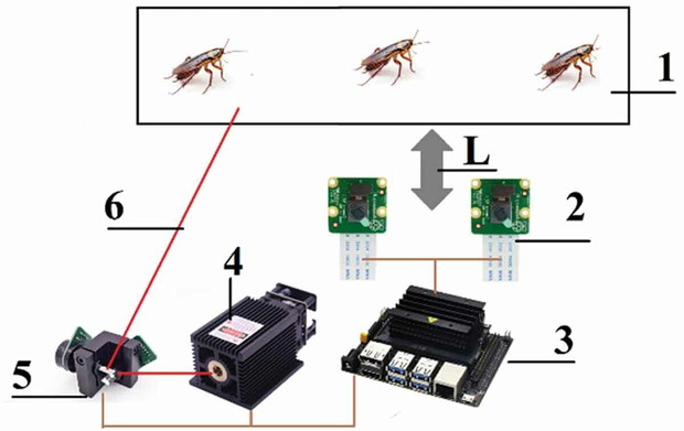 Powstał sterowany sztuczną inteligencją laser do zabijania prusaków (Fot. Oriental Insects (2022). DOI: 10.1080/00305316.2022.2121777)