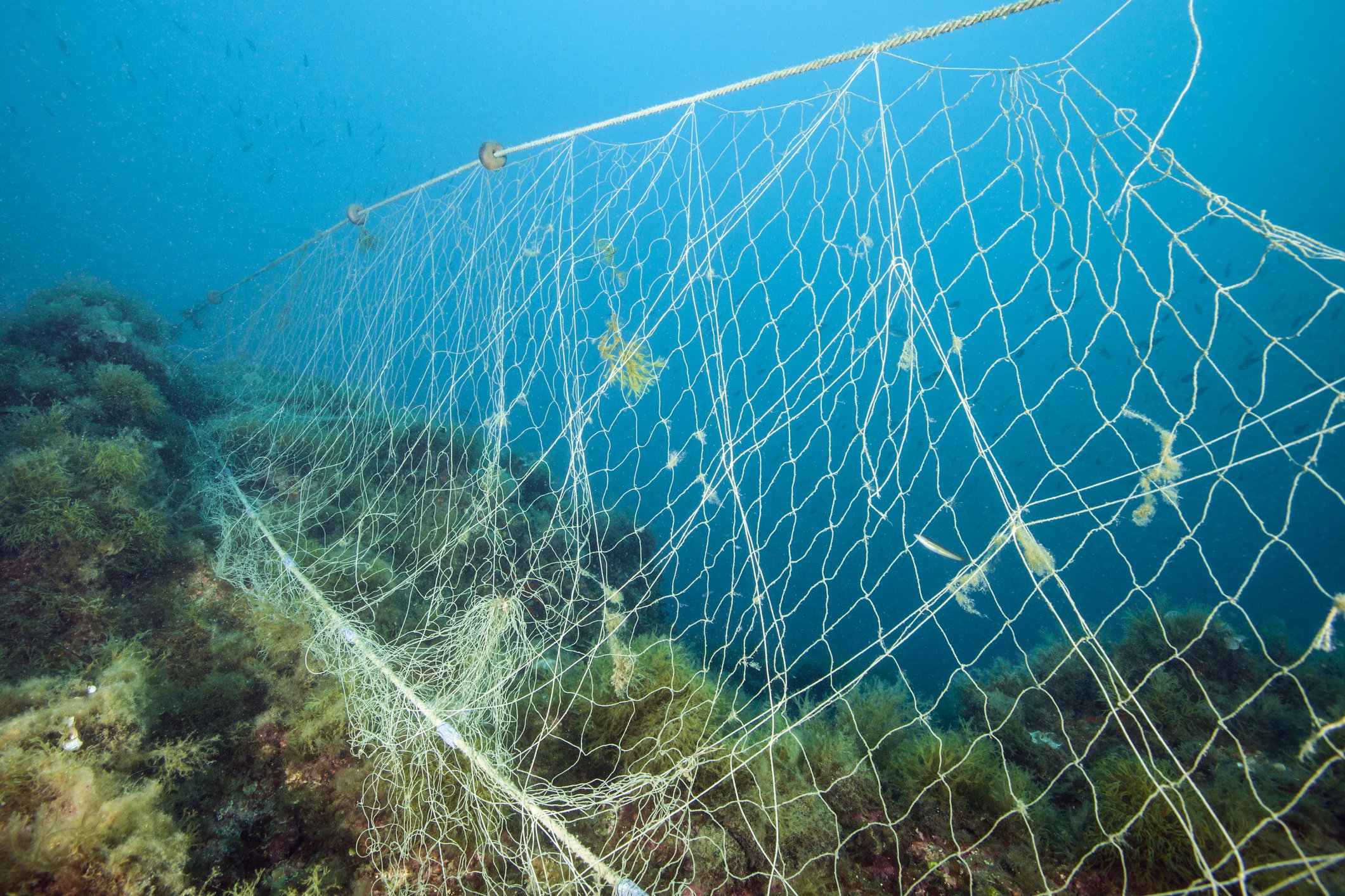 Rybackie sieci widma, które zostają zgubione w oceanach tylko w ciągu roku, mogą opleść Ziemię 18 razy (fot. Getty Images)