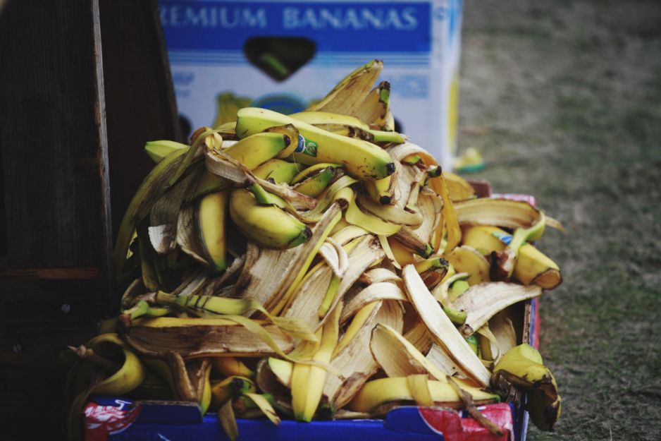 skórki od bananów