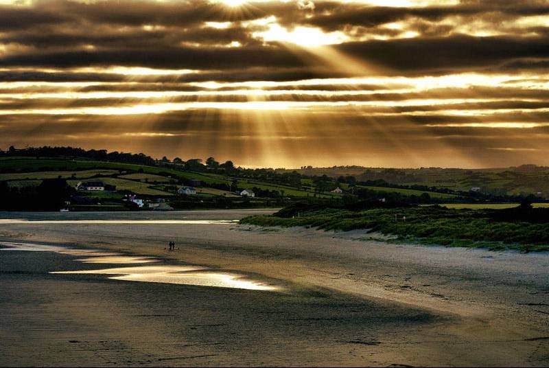 Cork