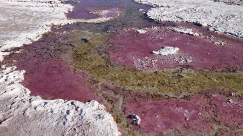 Maty mikrobiologiczne w La Brava w Chile (Visscher et al., Nature, 2020)
