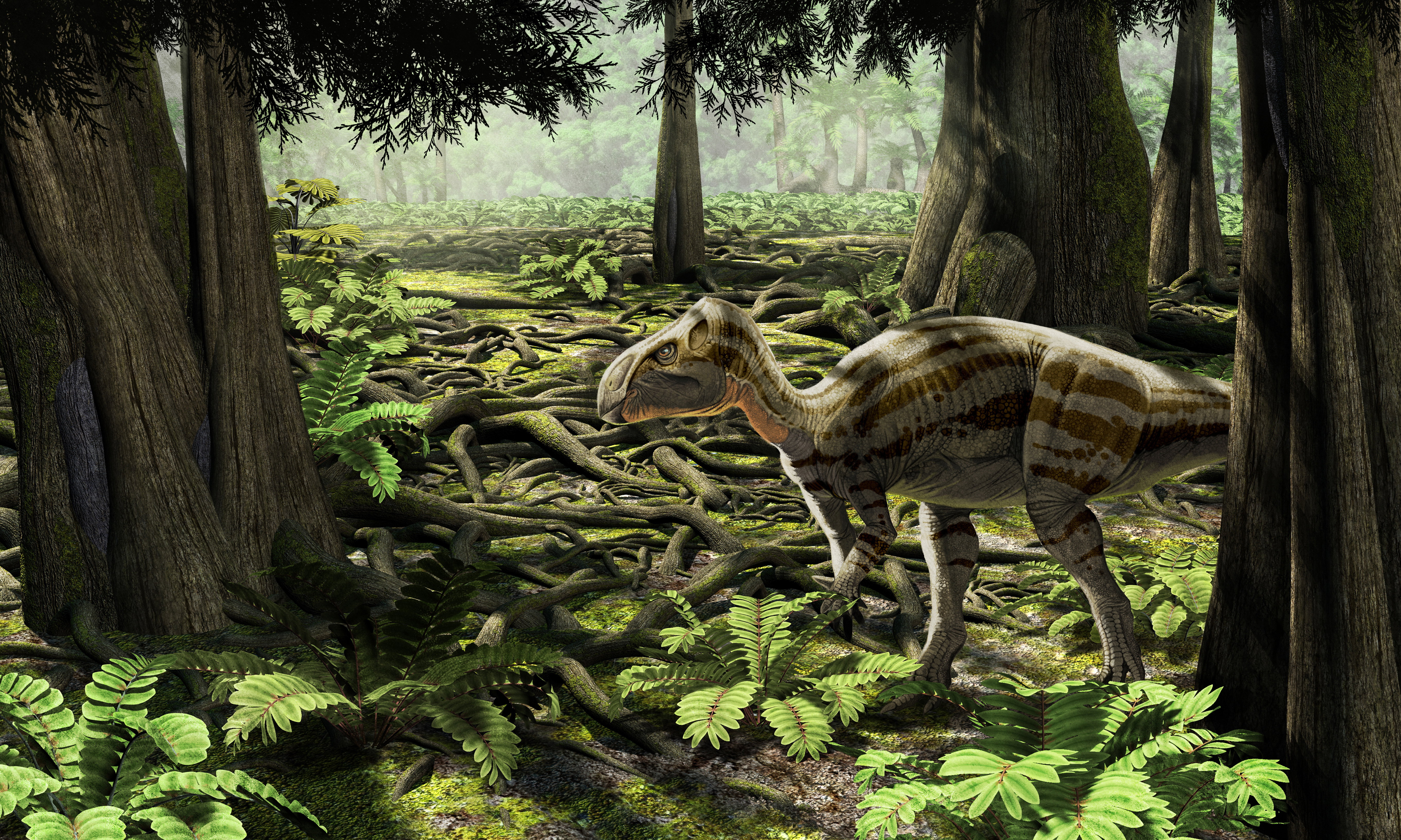 Rabdodon