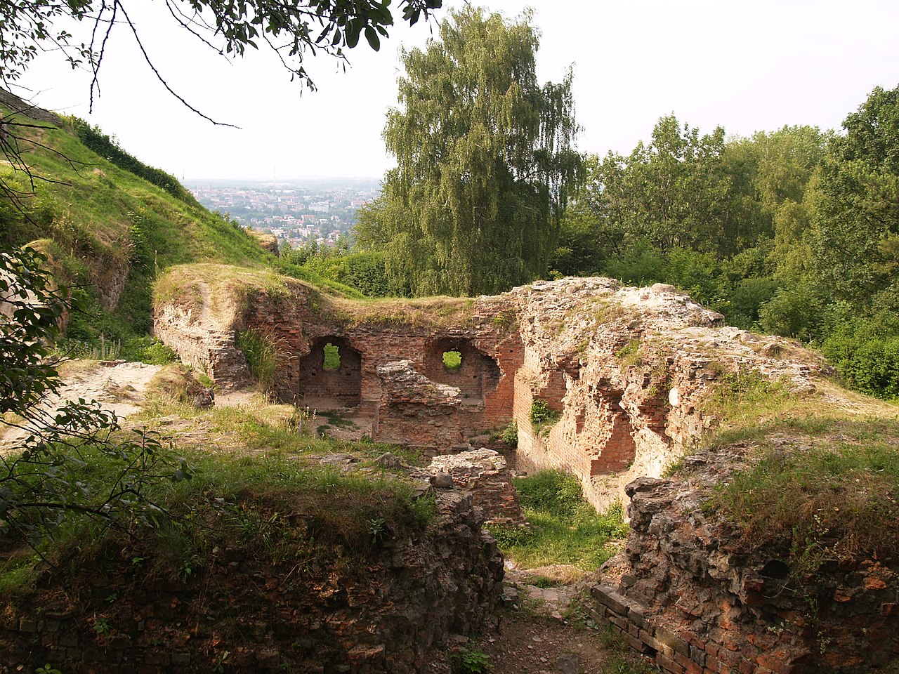 Tarnów był kiedyś stolicą Węgier. To tu zamieszkał w zamku węgierski król Jan Zápolya. Jaki los go spotkał? (fot. Ffolas, Wikimedia Commons, CC-BY-SA-3.0)