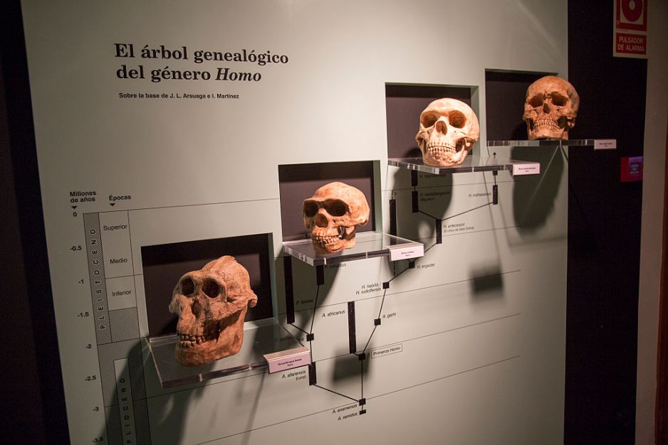 Jak powstał człowiek, czyli co wiemy o historii ewolucji ludzkości? (fot. Geography Photos/Universal Images Group via Getty Images)
