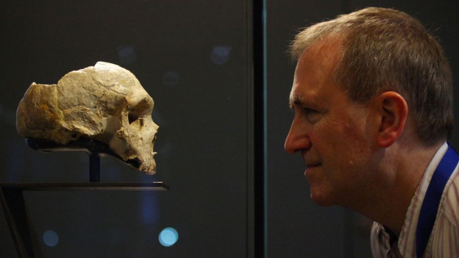 Różnica tylko jednego aminokwasu sprawiła, że w mózgu Homo sapiens powstaje więcej neuronów niż u neandertalczyka (fot. Gareth Fuller/PA Images via Getty Images)